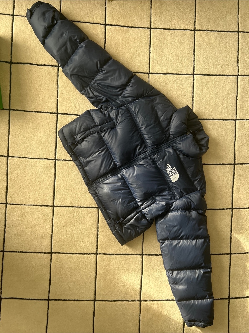 The North Face Dark Navy Puffer Jacket with Hood